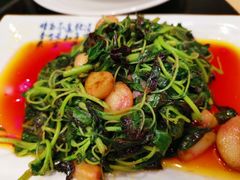 -季市阳光美食(阳光国际店)