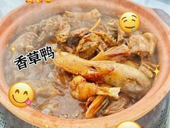 -盐禾堂海南屯昌香草鸭(总店)