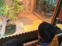-上海大自然野生昆虫馆(东方明珠·爬宠昆虫探索中心)