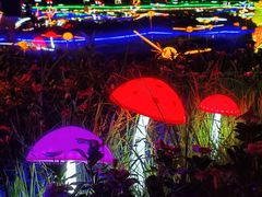-花博汇(知音花月夜)