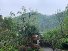 -桃花岭景区