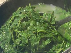 -石岐乳鸽村(南海第三分店)