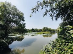 -西溪国家湿地公园