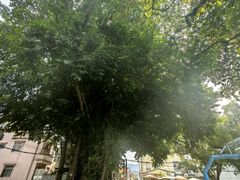 -三溪村