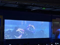 -重庆欢乐海底世界