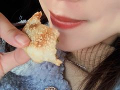 -金莲葱饼