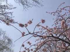 -元大都城垣遗址公园