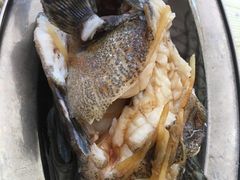 -板桥海鲜广场(文明东店)