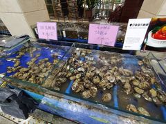 -东江海鲜酒家(艺都分店)