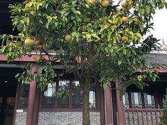 -屈原故里文化旅游区