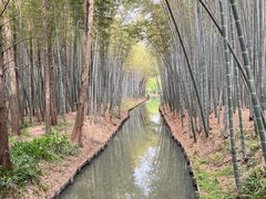 -同里国家湿地公园