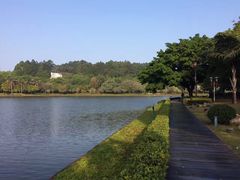 -南国桃园旅游度假区