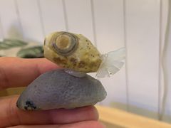 -Rabbit Cafe私房西餐甜点咖啡(栖霞路店)