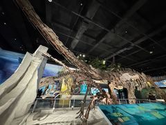 -国家自然博物馆