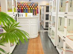 -青奢宠物·青奢猫舍