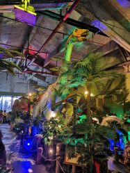 -恐龙探索乐园(磁器口店)