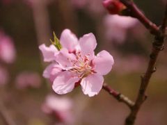 -贵阳市花溪国家城市湿地公园