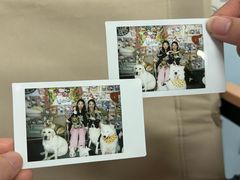 -汪说·狗咖(旺城大厦店)