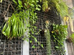 -肴约·花园式餐厅(湖里店)