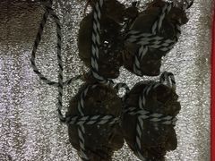 -珍宝蟹舫·巴城味道(巴城总店)
