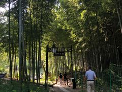 -宝岩生态观光园
