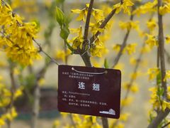 -北京明城墙遗址公园