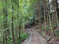 -凤栖山