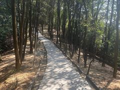 -火炉山森林公园