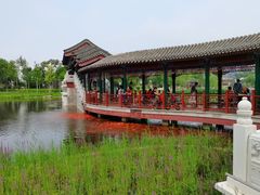 -西海子公园