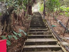 -小南山公园