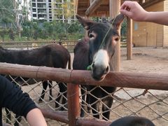 -太原动物园