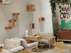 -藏猫猫咖啡主题馆(中央大道店)