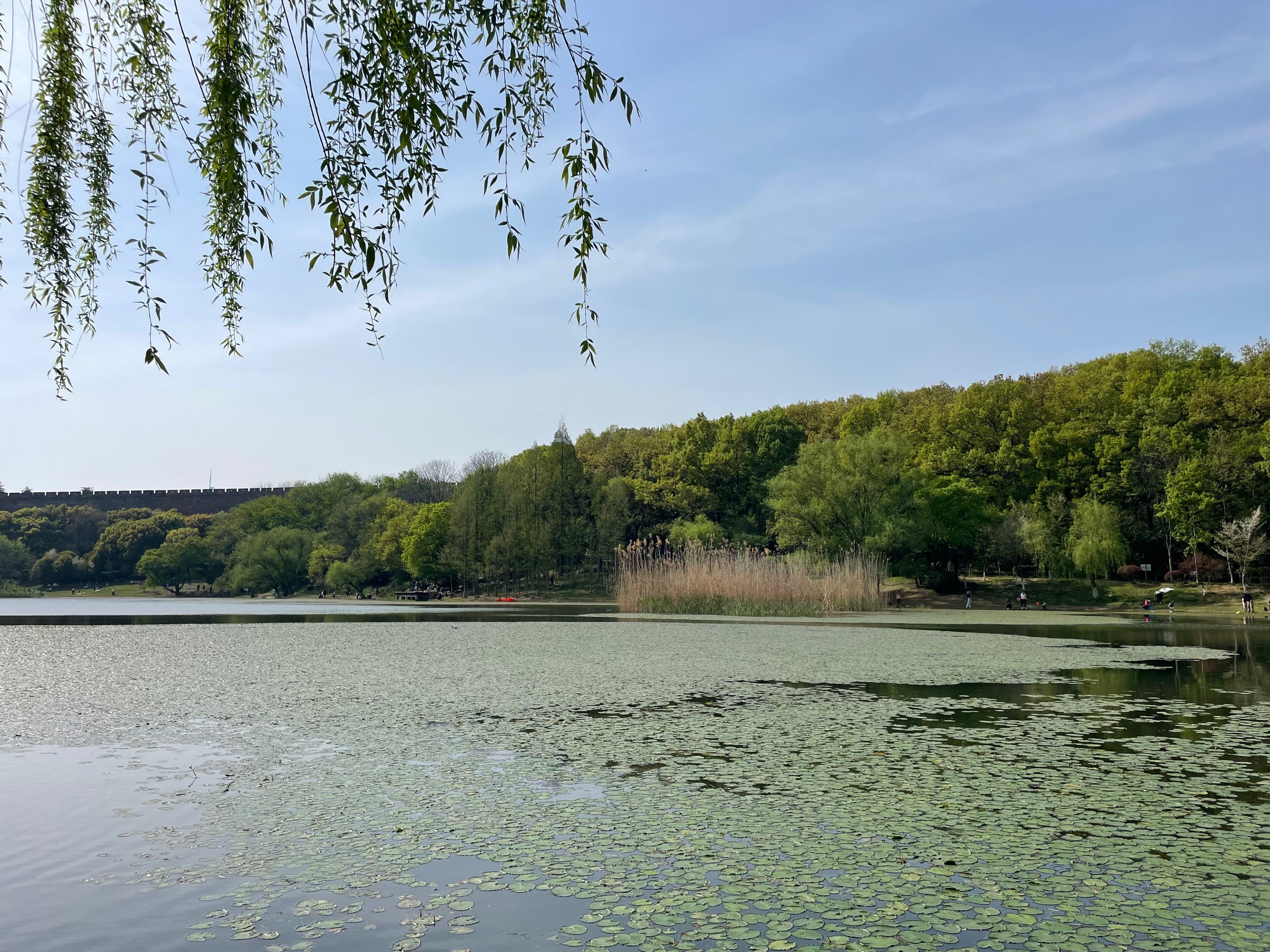 汶上琵琶山风景区图片