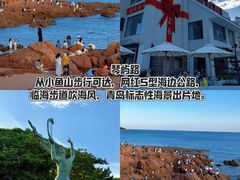 -单家老院·院子里的青岛菜(沙子口店)