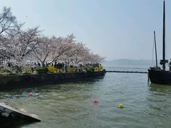 android_upload_pic-无锡新湖铂尔曼大酒店