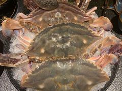 大白蟹-荣记火锅(青悦城店)