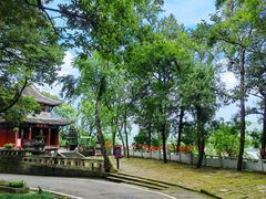 -子昂故里文化旅游区