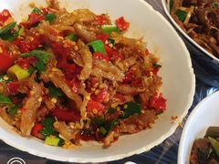 鸭掌筋-壹盏灯(惠农店)