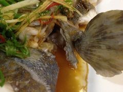 清蒸红斑-郑厨私房菜