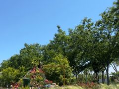 -苏州上方山国家森林公园