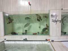 -海盗餐厅