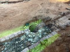 -南越王博物院(王宫展区)