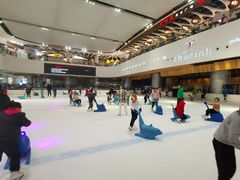 -TheRink大零溜冰场(IFS国金中心店)