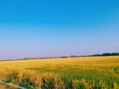 -嘉北郊野公园