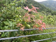 -北京西山国家森林公园