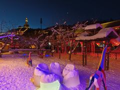 -采薇庄园四季滑雪场