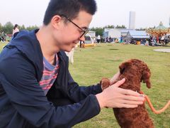 -栖露营camping·天幕烧烤·团建拓展·采摘营地