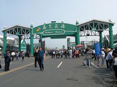 -荷兰花海