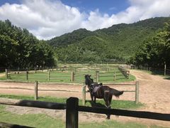 -裸心谷·裸心味餐厅