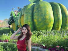 -水上乐园·欢乐世界